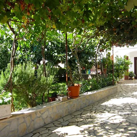 Olea Porec