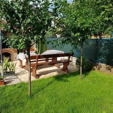 Olea Porec